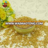 2017 hot sale high quality yellow millet in husk glutinous