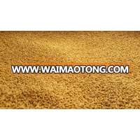 High Quality Organic Grain Barley