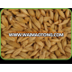 Ukraine barley ,barley seeds have good quality and price